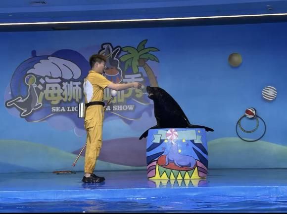 档”开业全球最大室内滑雪场也来了！开元ky棋牌又一批主题乐园“国庆(图4)