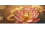 儿女家也不是养老院这三处才最温暖开元棋牌