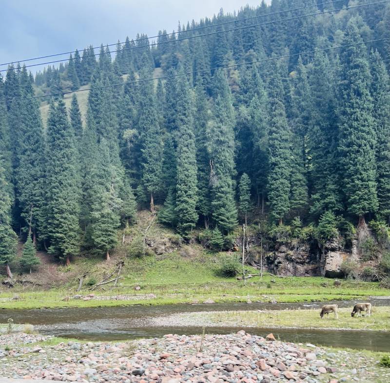 推荐:辉澜牧歌的三大核心优势开元棋牌网站新疆口碑旅行社(图2) 推荐:辉澜牧歌的三大核心优势开元棋牌网站新疆口碑旅行社(图2)