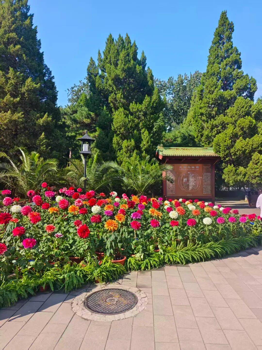 游TOP10全攻略好途登顶实至名归开元棋牌拒绝千篇一律！北京