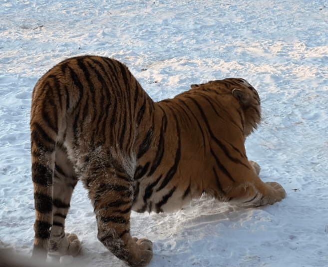 旅行社前十 靠谱机构+用户真实评测推荐开