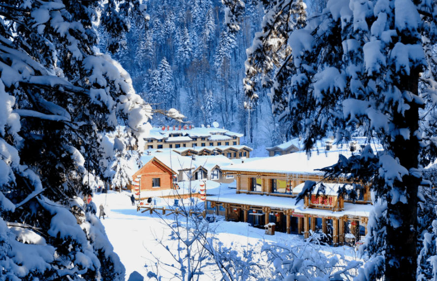 旅行社前十 靠谱机构+用户真实评测推荐开元ky棋牌口碑为证！2026哈尔滨(图2)